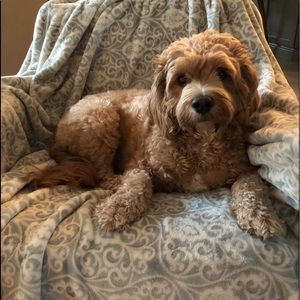 Meet your Posher, Nikki